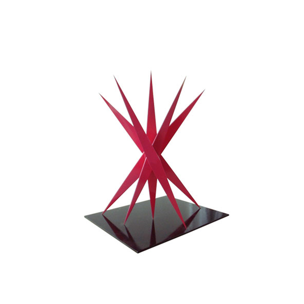 Donne in punta di Piedi